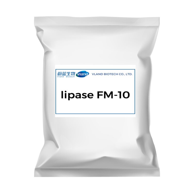 FM-10 Lipase Manufacturer - 100000 U/g for Biodiesel