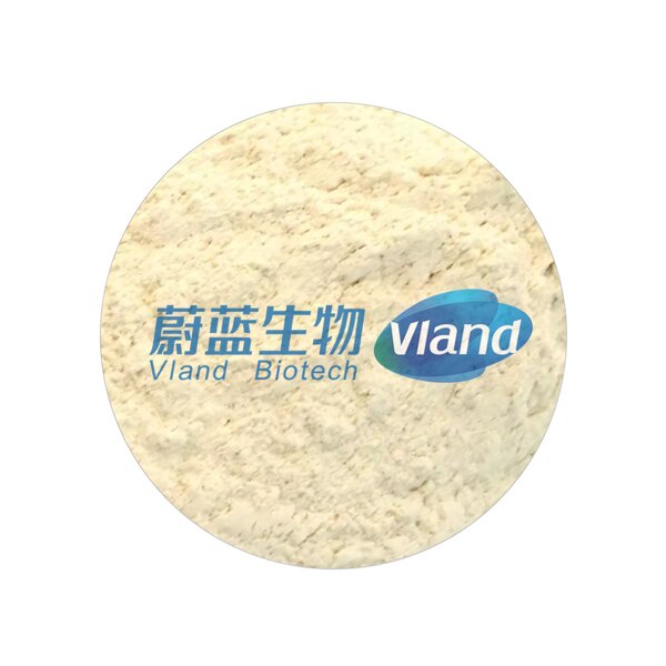 Aminopeptidase Factory - Food Grade Flavor Enzyme Additive