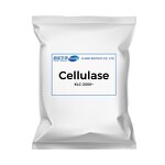 Modified Cellulase Enzyme Supplier - KLC2000 for Detergent