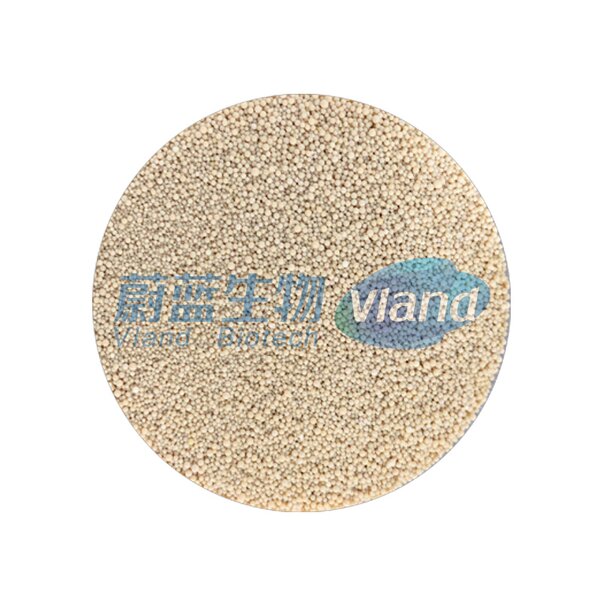 Immobilized Lipase Manufacturer - R IM-03 Food Enzyme