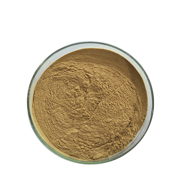 Cassia Gum Powder Factory - Food Grade Thickener 99% Pure