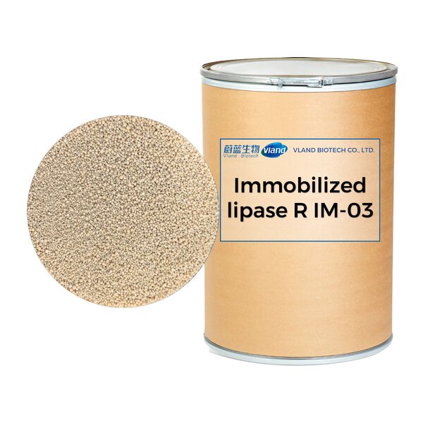 Immobilized Lipase Supplier - R IM-03 Food Additives CAS