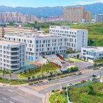 Lipase Powder Factory - 1000000 U/g Food Additive CAS