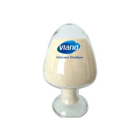 Glucose Oxidase Supplier - 60000U/g Sterilization Powder
