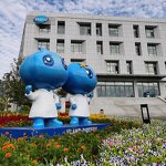 Isolated Soya Protein Supplier - Nutrition Enhancer Food Additive