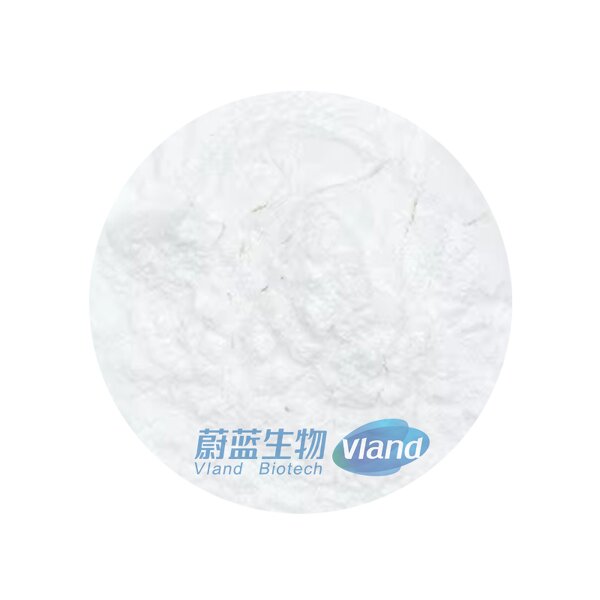 Ascorbic Acid Powder Manufacturer - 40-100 Mesh Food Additive