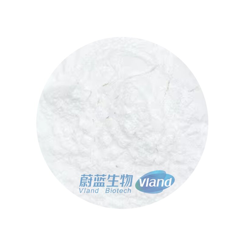 Ascorbic Acid Powder Manufacturer - 40-100 Mesh Food Additive