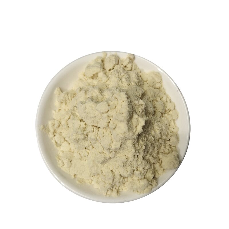 Soy Protein Isolate Supplier - Non-GMO Soybean Beverage Meat