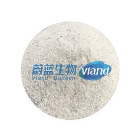 Lipase Powder Factory - 1000000 U/g Food Additive CAS