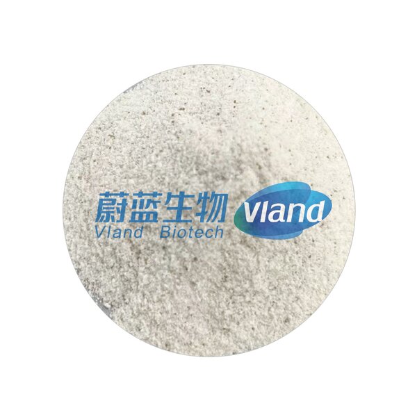 Lipase Powder Factory - 1000000 U/g Food Additive CAS