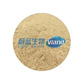 Glucose Oxidase Powder Supplier - High Concentration 60000 U/g