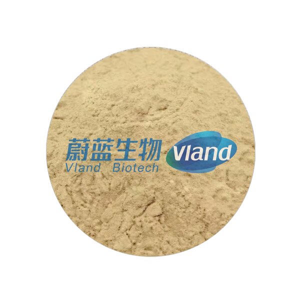 Glucose Oxidase Powder Supplier - High Concentration 60000 U/g