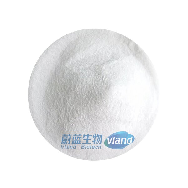 Erythritol Powder Factory - 99% Crystalline Sweetener 18-200 Mesh