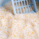 Silica Gel Cat Litter Supplier - Highly Absorbent Dust Free Cat Health Monitor PH Indicator