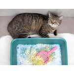 Crystal Silica Gel Cat Litter Manufacturer - Ph Health Care Monitoring Indicator Sand