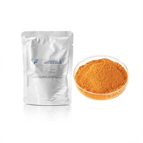 Curcumin Manufacturer - Cas 458-37-7 Is Used As a Food Coloring Agent