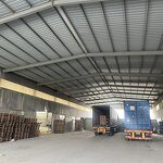 Silica Gel Cat Litter Supplier - OEM/ODM Manufacturer Easy Clean Silica Gel