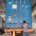 Silica Gel Cat Litter Supplier - Highly Absorbent Dust Free Cat Health Monitor PH Indicator