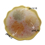 Crystal Silica Gel Cat Litter Manufacturer - Ph Health Care Monitoring Indicator Sand