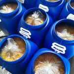 Solvent Green 5 Supplier - Cas 2744-50-5 for Coloring Oil Products