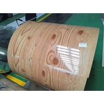 PPGI Coil Manufacturer - Prepainted Galvanized Color Coated Steel