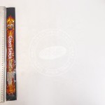 巨型长麻辣条