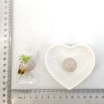 Classic Fruit Candy Coconut Flavor Tablet Candy