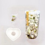 Classic Fruit Candy Coconut Flavor Tablet Candy
