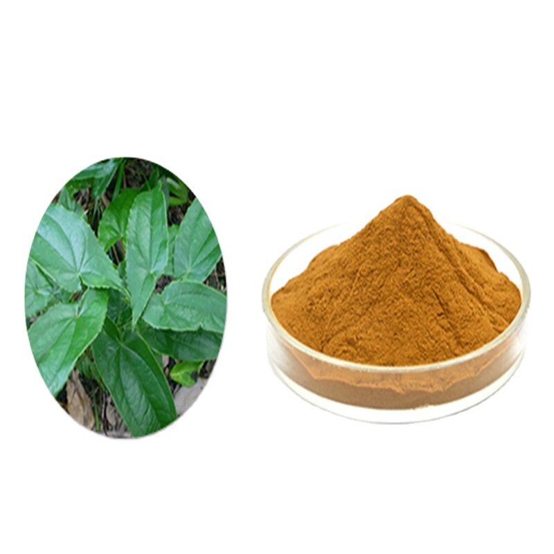 Epimedium Powder Factory - Organic Epimedium Extract Powder