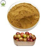 Camu Camu Powder Supplier - 100% High Quality Camu Powder