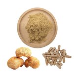 Lion's Mane Powder Supplier - Pure Raw Mushroom Extract Capsules