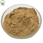 Epimedium Powder Factory - Organic Epimedium Extract Powder