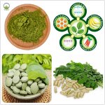Moringa Leaf Powder Manufacturer - Bulk Organic Moringa Powder