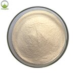 Banana Powder Supplier - 100% Organic Juice Powder Free Sample