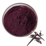 Black Carrot Powder Manufacturer - 100% Natural Organic
