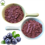 Blueberry Extract Powder Factory - Natural Wild Fruit Powder