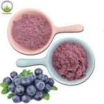 Blueberry Extract Powder Factory - Natural Wild Fruit Powder