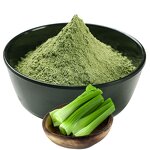 Celery Herb Extract Manufacturer - Food Grade Natural Wild