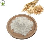 Oat Milk Powder Supplier - Water Soluble Organic Good Flavor
