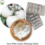 White Tomato Extract Powder Manufacturer - Organic White Tomato Powder