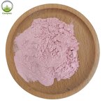Strawberry Powder Supplier - Freeze Dried Organic Strawberry