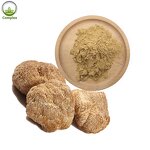 Lion's Mane Powder Supplier - Pure Raw Mushroom Extract Capsules