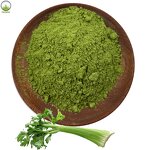 Celery Herb Extract Manufacturer - Food Grade Natural Wild