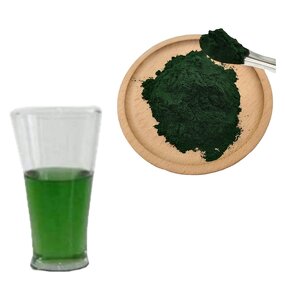 Liquid Chlorophyll Powder Supplier - Bulk Powder for Skin