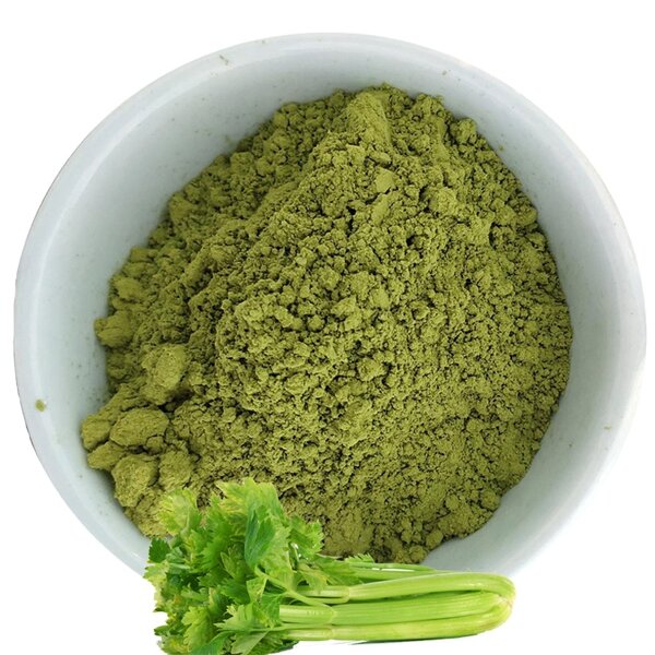 Celery Juice Powder Manufacturer - Freeze Dried Pure