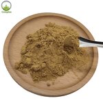 Epimedium Powder Factory - Organic Epimedium Extract Powder