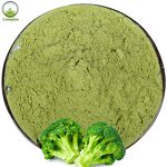 Broccoli Concentrate Powder Manufacturer - Freeze Dried Powder
