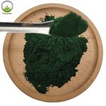 Spirulina Powder Manufacturer - Spirulina Maxima Powder