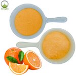Orange Juice Powder Factory - Water Soluble Freeze Dried