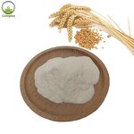 Oat Milk Powder Factory - Instant Oat Fiber Powder Bulk